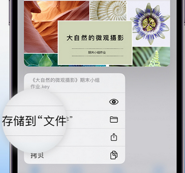 太湖apple维修中心分享iPhone文件应用中存储和找到下载文件