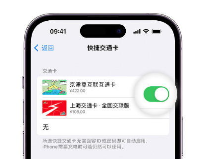 太湖apple维修点分享iPhone上更换Apple Pay快捷交通卡手绘卡面 