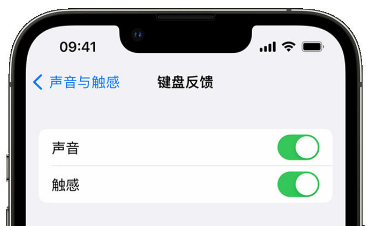 太湖苹果手机维修分享iPhone 14触感键盘使用方法 