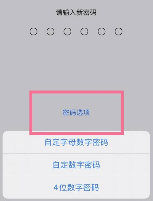 太湖苹果14维修分享iPhone 14plus设置密码的方法 