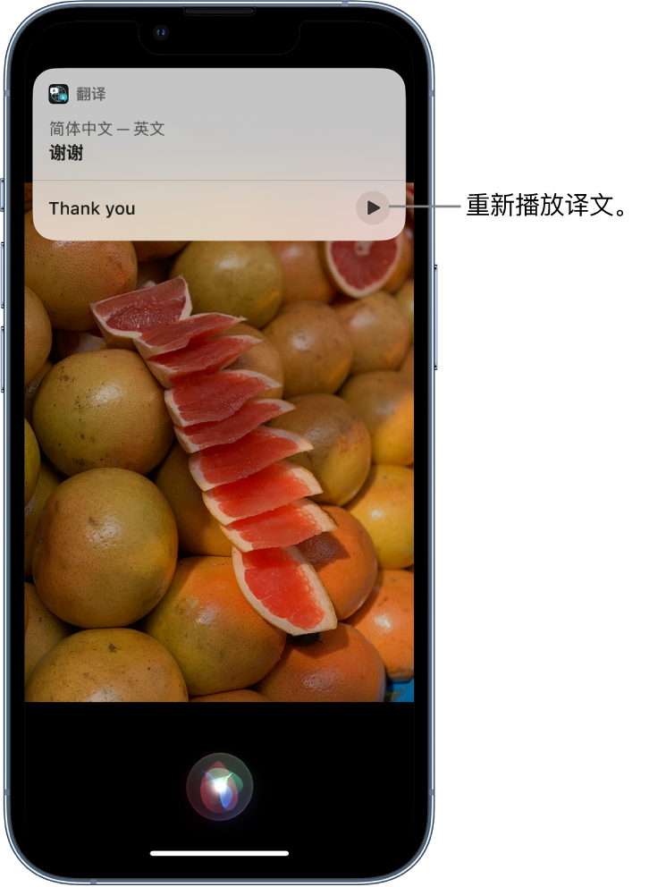 太湖苹果14维修分享 iPhone 14 机型中使用 Siri：了解 Siri 能帮你做什么 