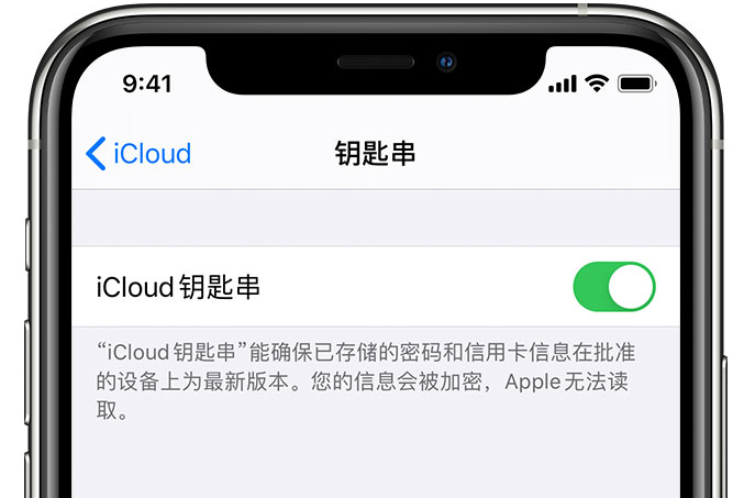 太湖苹果手机维修分享在 iPhone 上开启 iCloud 钥匙串之后会储存哪些信息 