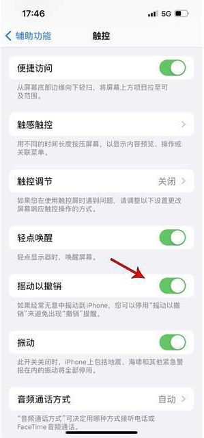 太湖苹果手机维修分享iPhone手机如何设置摇一摇删除文字 